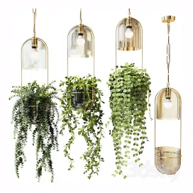 Ampel Plants in Hanging Pots Lamps Set